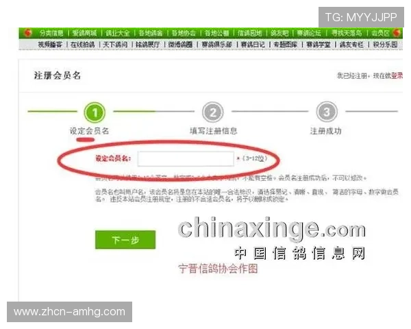 皇冠crown官网入口详细操作流程,帮助新用户顺利进入皇冠crown官网入口