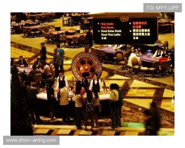 澳门新普京赌场丰富娱乐项目介绍,满足不同玩家的多样需求